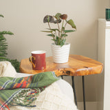 chocolate anthurium plant in wave textured white pot sitting on a wooden side table in a brightly lit living room. the room is decorated for the holidays 