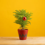 small norfolk island pine tree in a red and black chevron pot, in the style of charlie brown. the tree features one big red christmas ornament and is set against a bright yellow background 