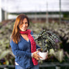 a grower and farmer of the alocasia polly holding a potted alocasia polly standing in the middle of a field of the plants the woman is wearing a denim jacket and has a red scarf