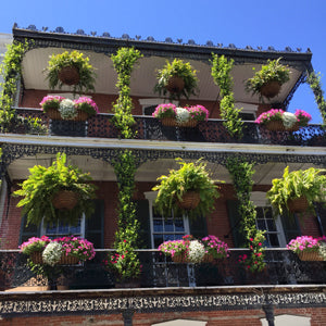 Garden Style in New Orleans