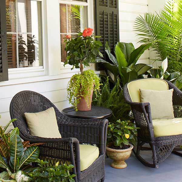 Hibiscus on porch