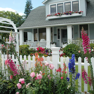 Dress Up The Edges of Your Yard