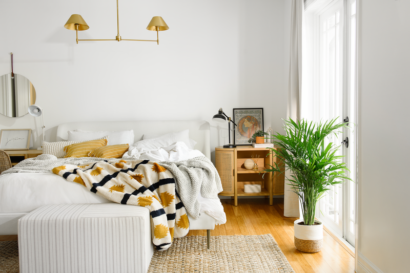 Houseplant palm decorating a bedroom space