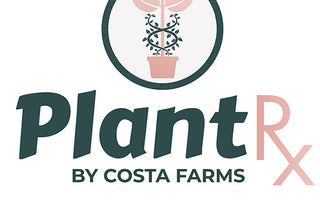 Plant Rx Houseplant Podcast